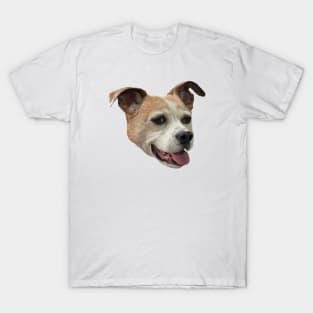 Jack Russell Terrier Mix - White Background T-Shirt